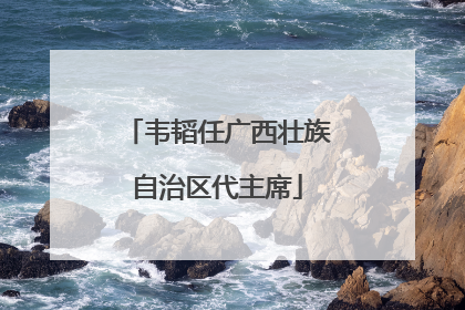 韦韬任广西壮族自治区代主席